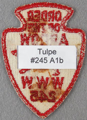 Tulpe Lodge 245 A1b Issue Massachusetts
