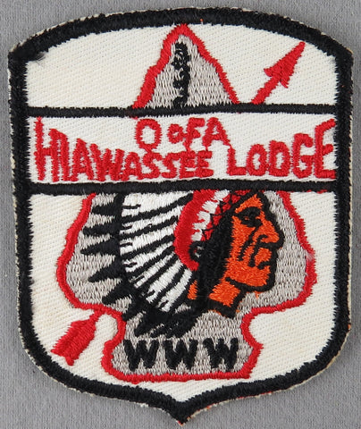 Hiwassee Lodge 333 X1a Issue Georgia shield